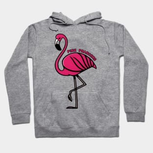 Pink Flamingo Hoodie